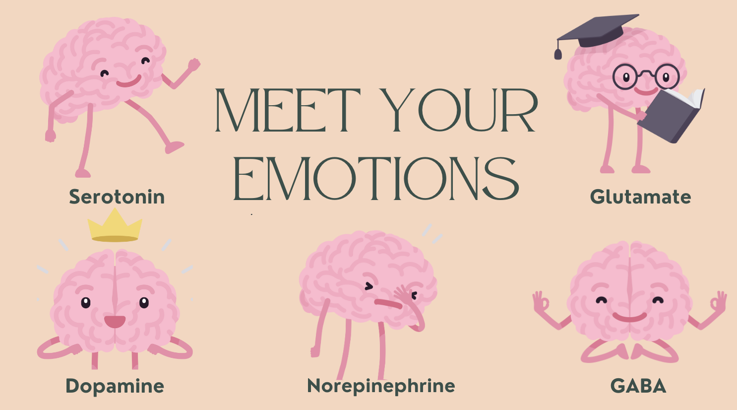 Graphic of brains demonstrating different emotions and represent Neurotransmitters and how they affect well-being